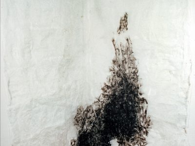 Alastramento, 1994, plástico soprado (série zoográfica), 246 x 126_150 x 40 cm, Untitled-6