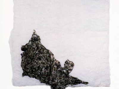 Corpus, 1994, plástico soprado, 206 x 172 cm Untitled-9