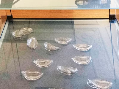 DSC_1555a-cópia copiar