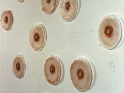 Maquiados (16 partes),1997, moldagem em silicone e maquiagem, 81 x 85 cm, foto Mauricius Farina