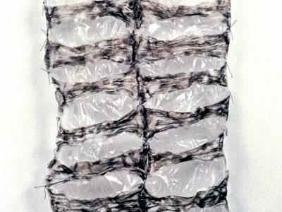 Marta Strambi, Vértebra, 1994, plástico soprado e cordonê, 193 x 73