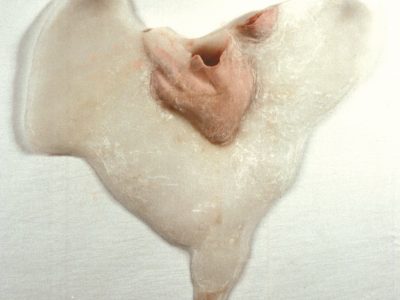 Receptáculo,1995,silicone e caladril 54x43cm