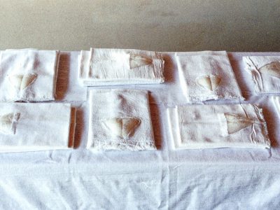 Vaginas (detalhe da instalação), 2004, pano-de-prato, silicone e pêlos, 22 x 18 x 6 cm cópia